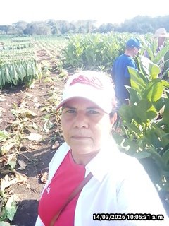 Anelys Ramírez González tweet media