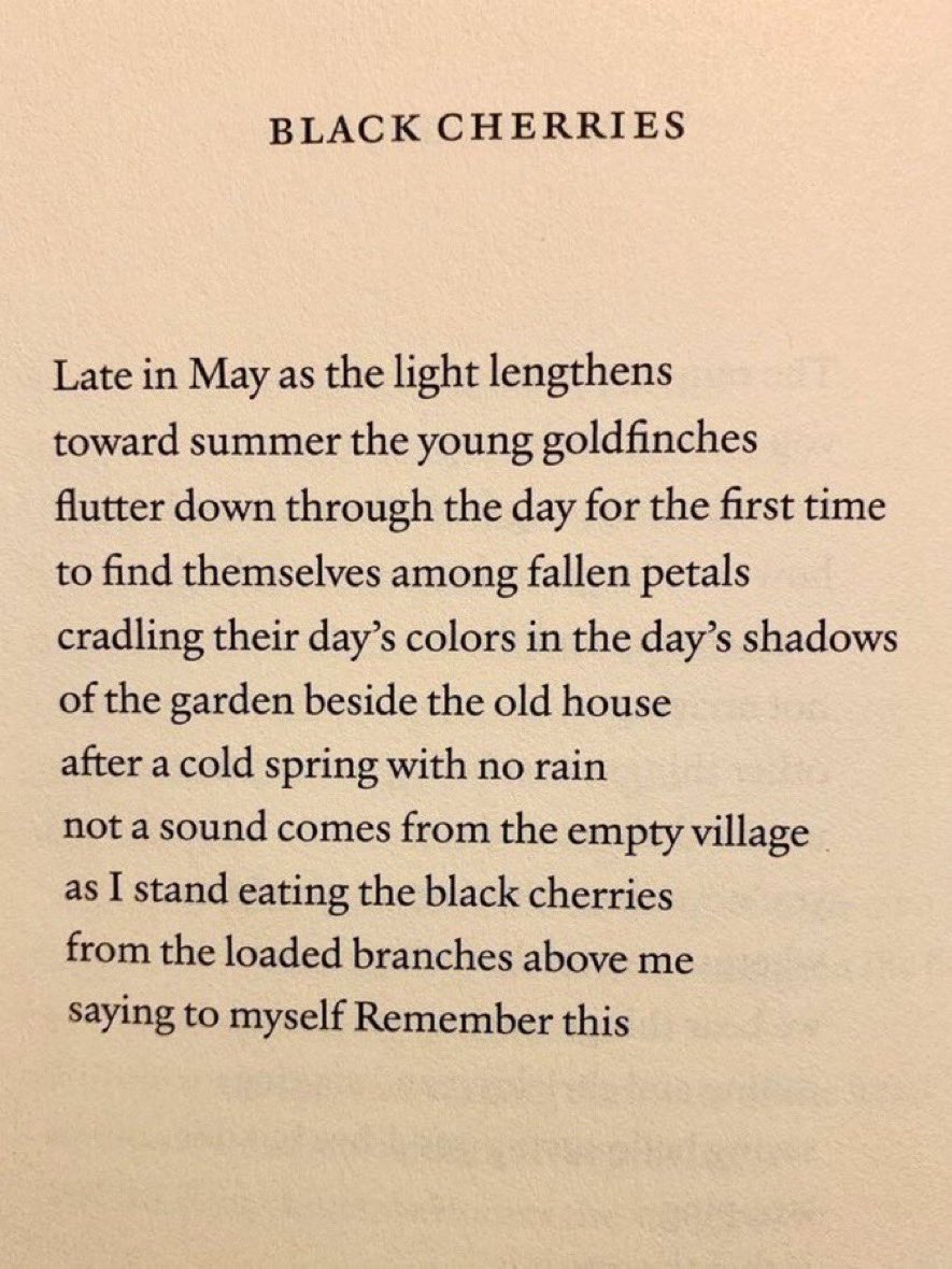 The Moth Magazine tweet media