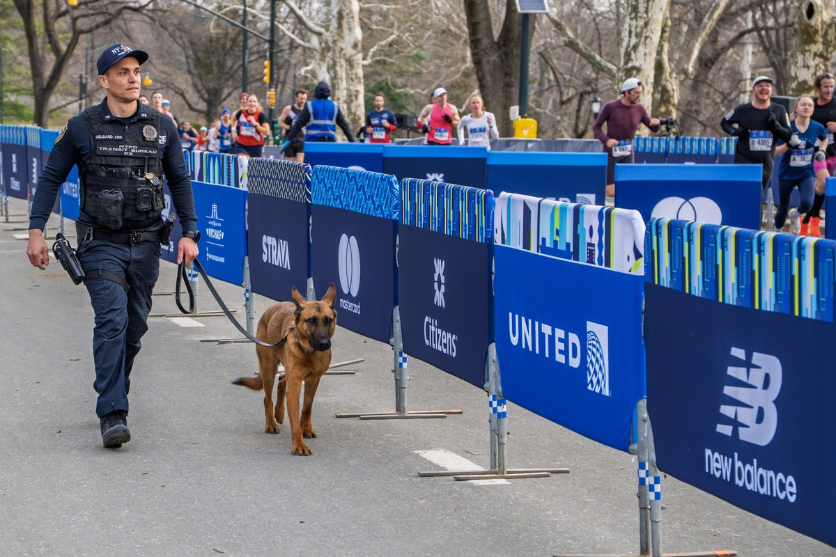 NYPD NEWS tweet media