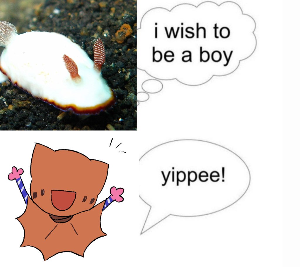 |,,⇼,,| CØMMS OPEN 𓆏 tweet media