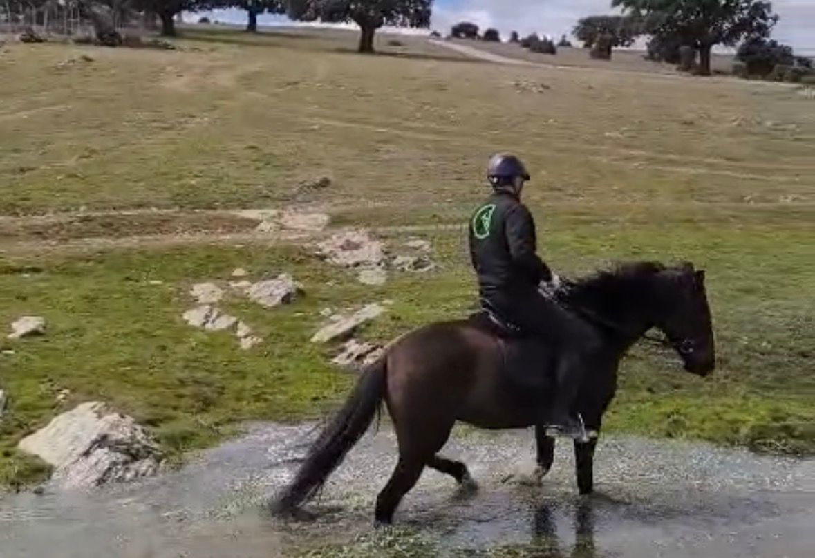 SUP-escuelanacionaldepolicia tweet media