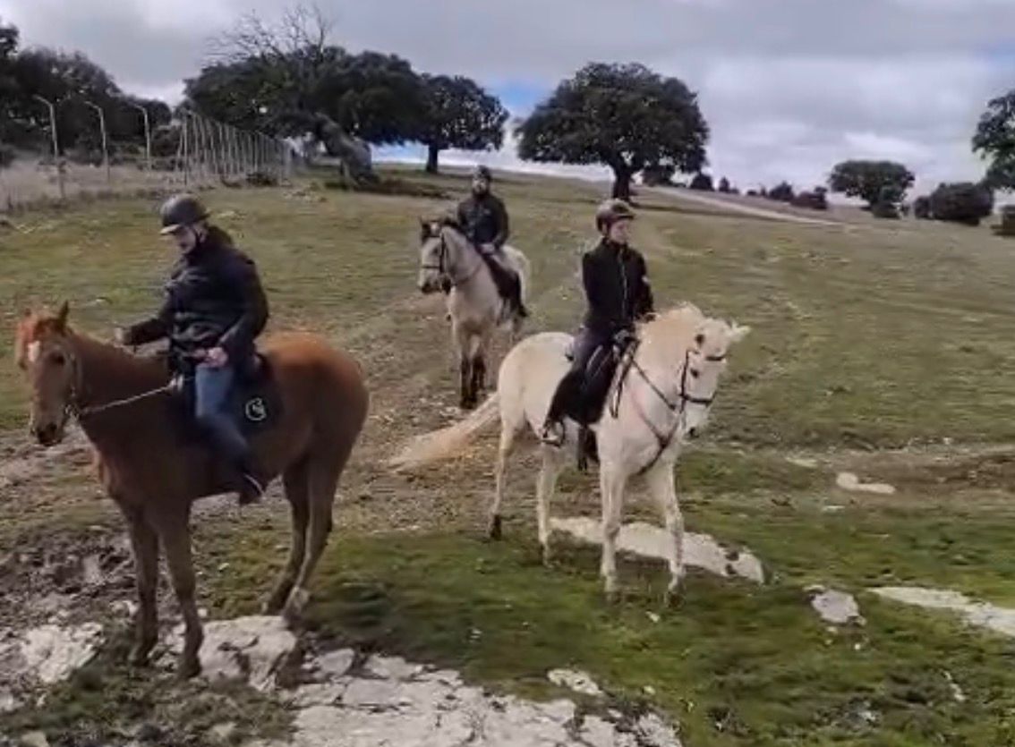 SUP-escuelanacionaldepolicia tweet media