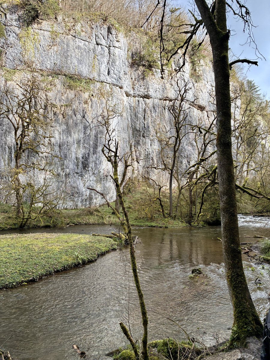 JANE WARNE tweet media