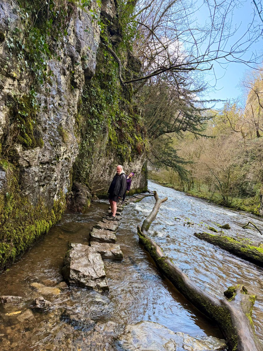 JANE WARNE tweet media