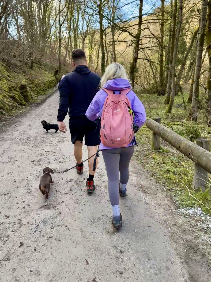 JANE WARNE tweet media