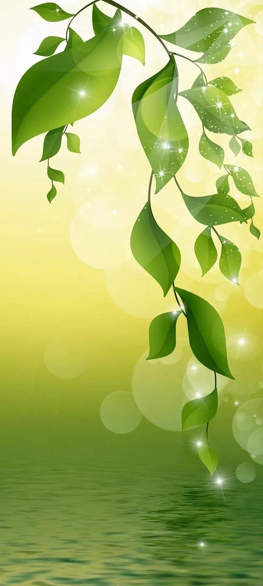 Bil-Cat Habbo Br/ tweet media