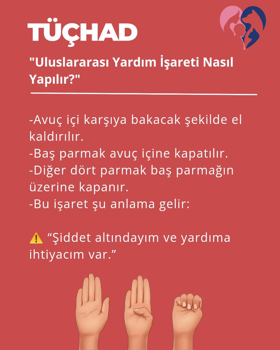 TUCHAD tweet media