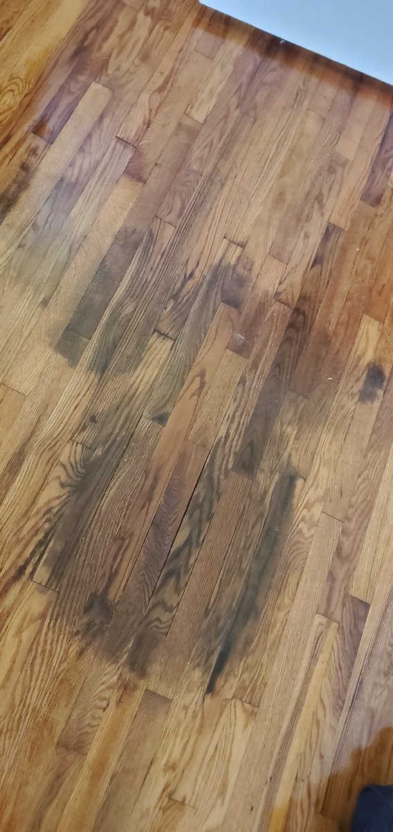 PK Patchworks tweet media