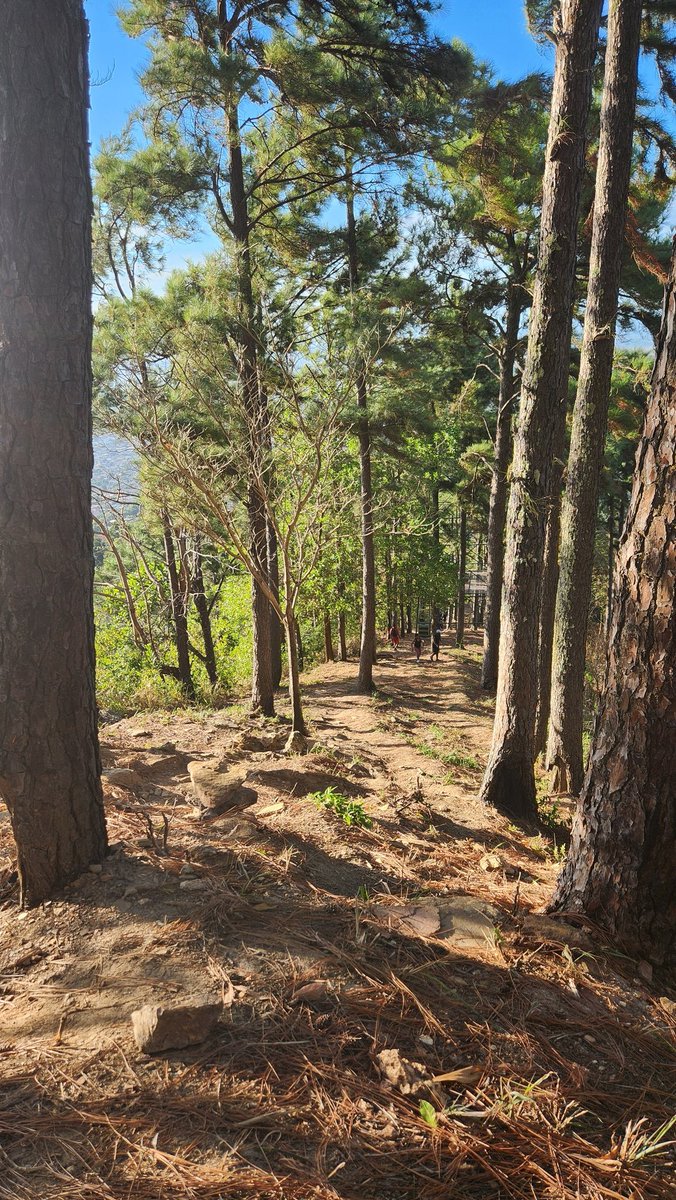 Min. of Planning, Economic Affairs and Development tweet media