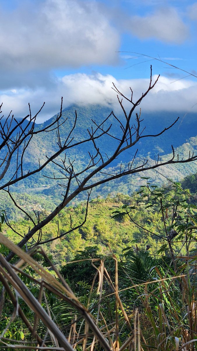 Min. of Planning, Economic Affairs and Development tweet media