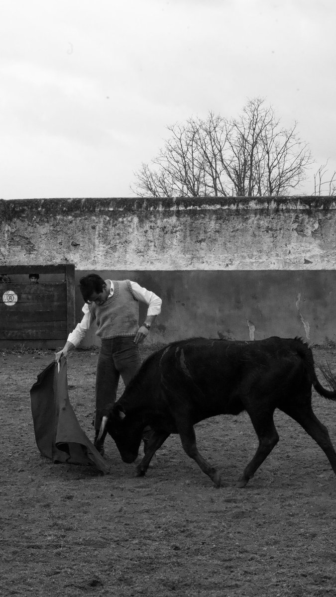 Guillermo Galván. tweet media