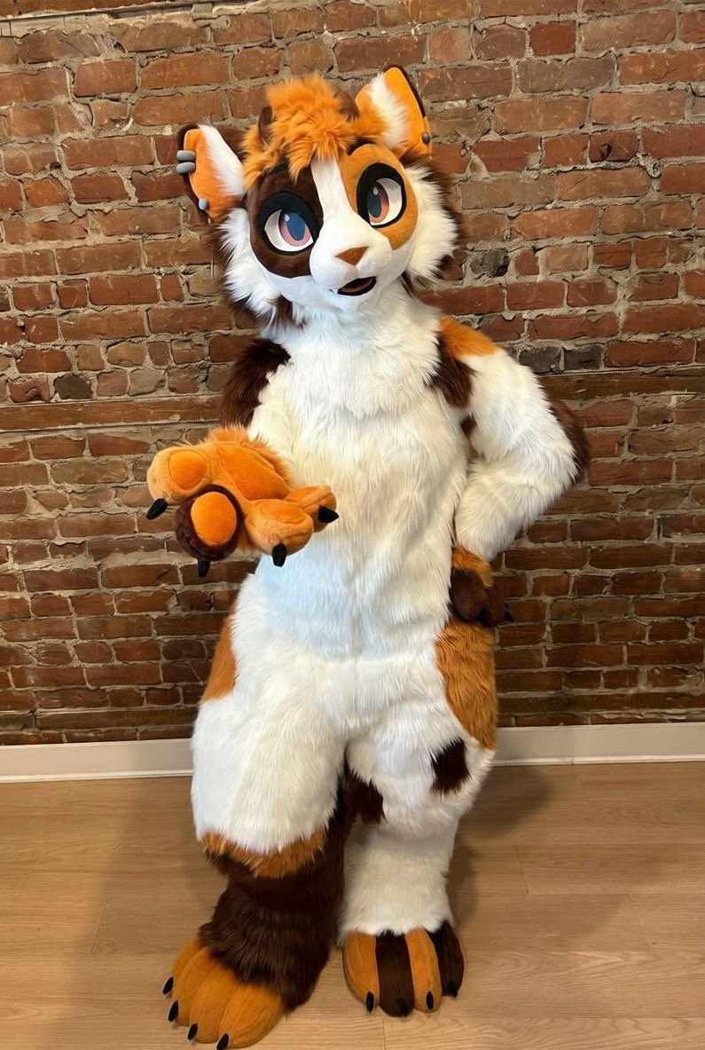 Scarlet Wings Fursuits tweet media