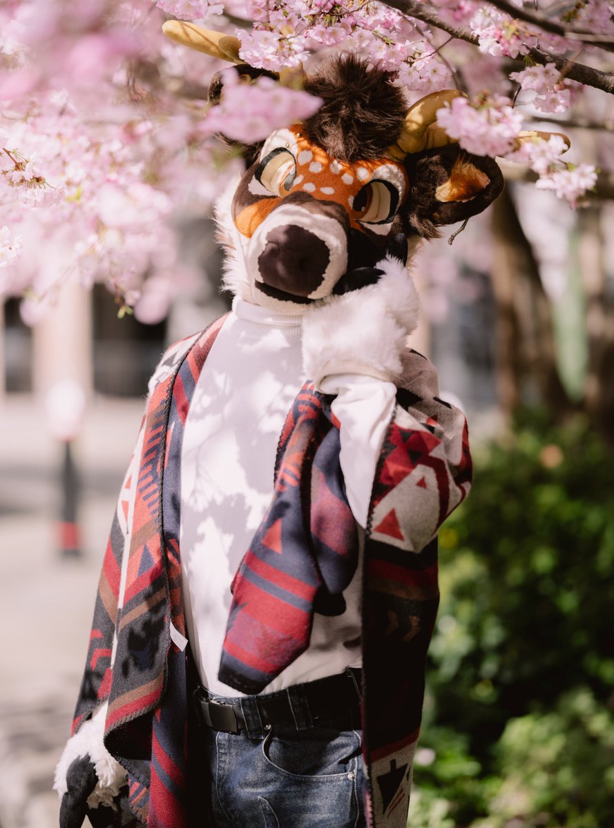 Vincent🇬🇧🇵🇱 🔜 MP tweet media