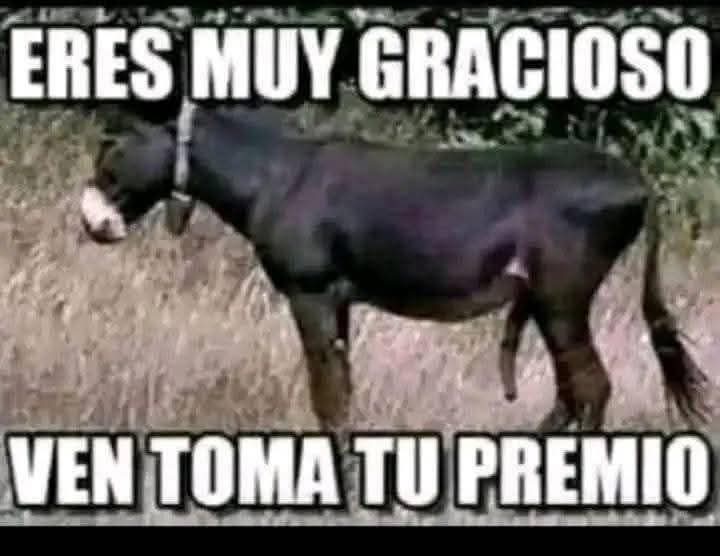 Fernando Barajas tweet media