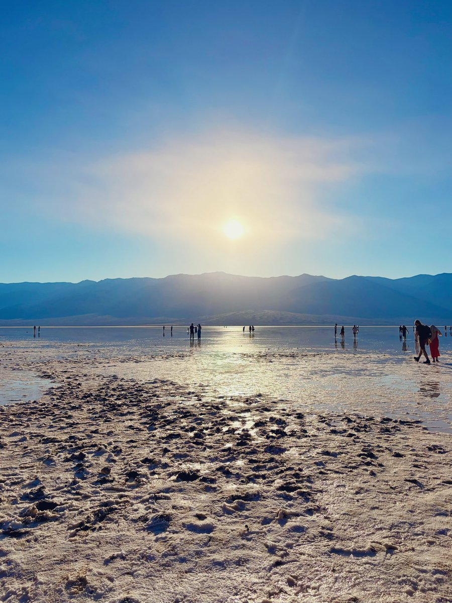 🍒Whiskey Fever🍒 tweet media