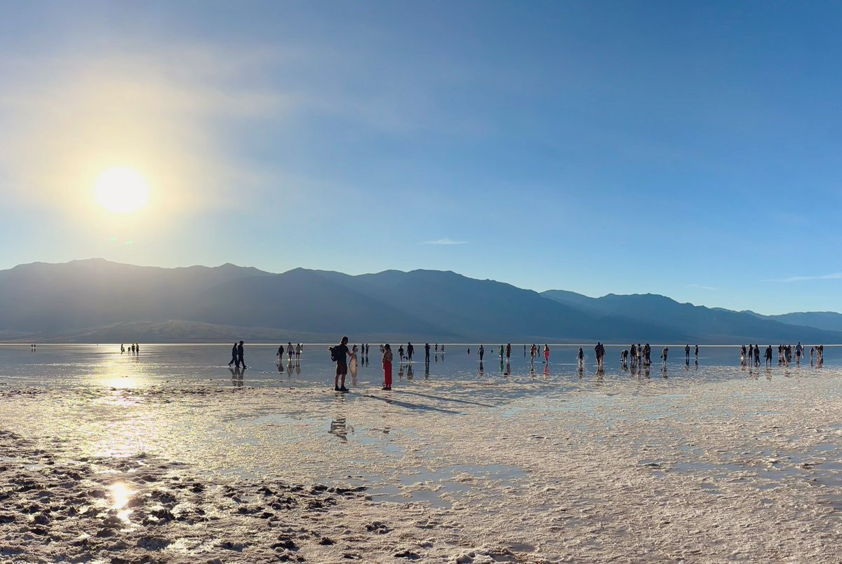 🍒Whiskey Fever🍒 tweet media