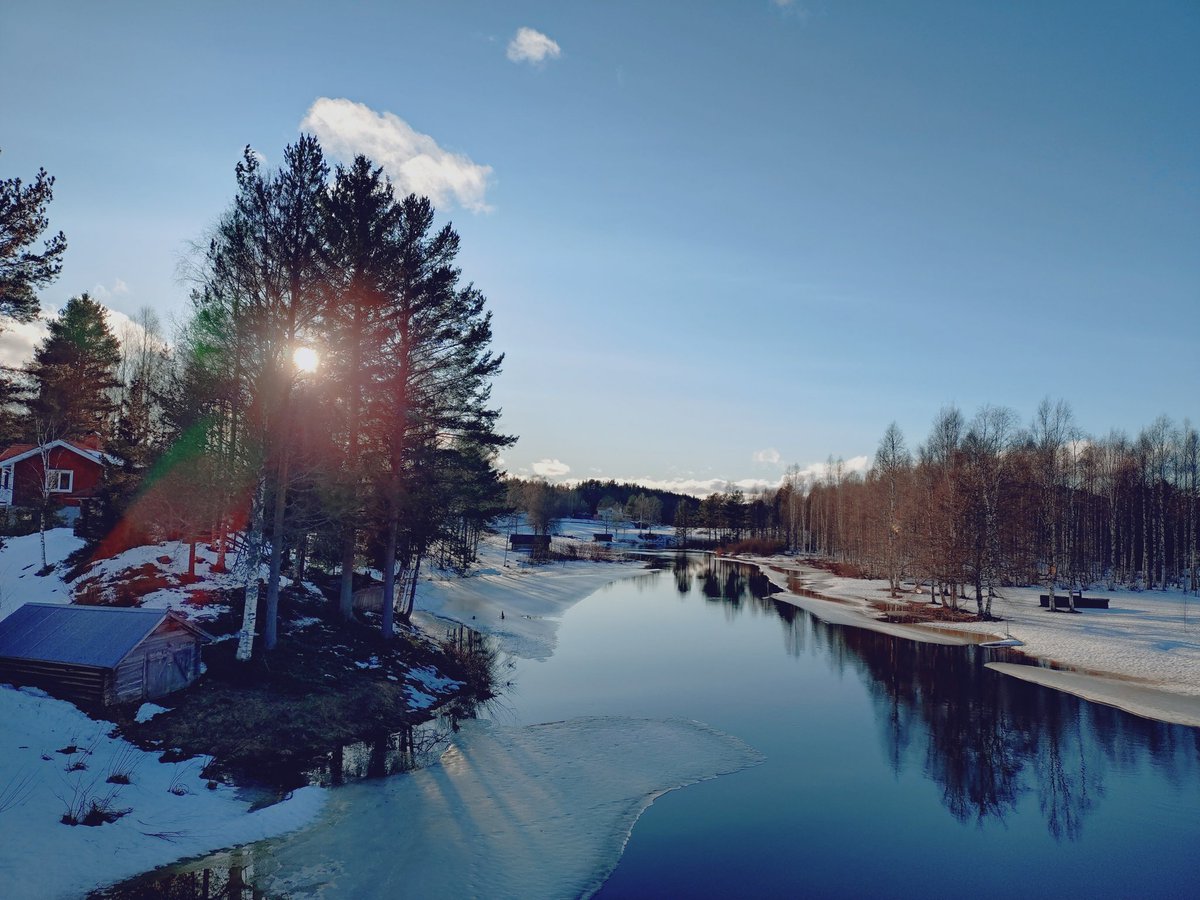 Kattdamen's tweet photo. Anlände i eftermiddags. Här i krokarna ska jag spendera några dagar. Kunde inte börja bättre. Strålande sol o lite lagom vind. Så fick det bli en promenad i omgivningarna. Fortfarande rätt gott om snö men vasaloppsspåret sjunger på sista versen. Nu en lugn kväll. https://t.co/U8eN6Xargs