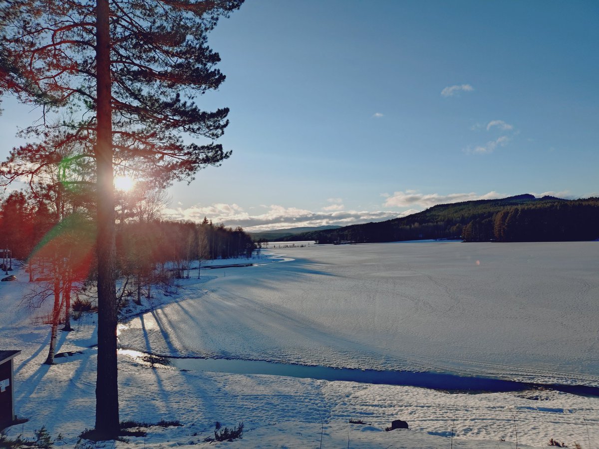 Kattdamen's tweet photo. Anlände i eftermiddags. Här i krokarna ska jag spendera några dagar. Kunde inte börja bättre. Strålande sol o lite lagom vind. Så fick det bli en promenad i omgivningarna. Fortfarande rätt gott om snö men vasaloppsspåret sjunger på sista versen. Nu en lugn kväll. https://t.co/U8eN6Xargs