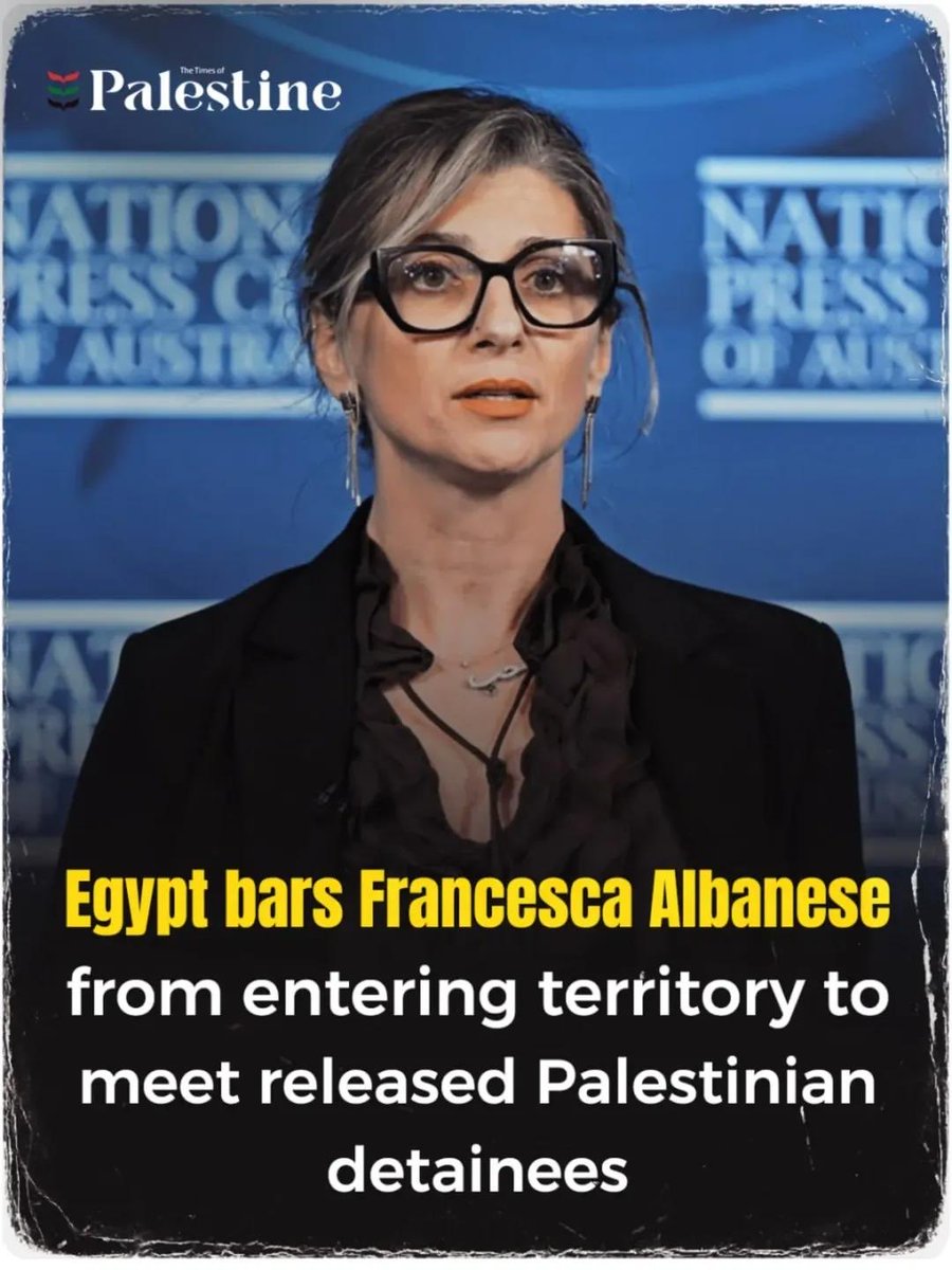 Earth Hippy 🌎🕊️💚 tweet media