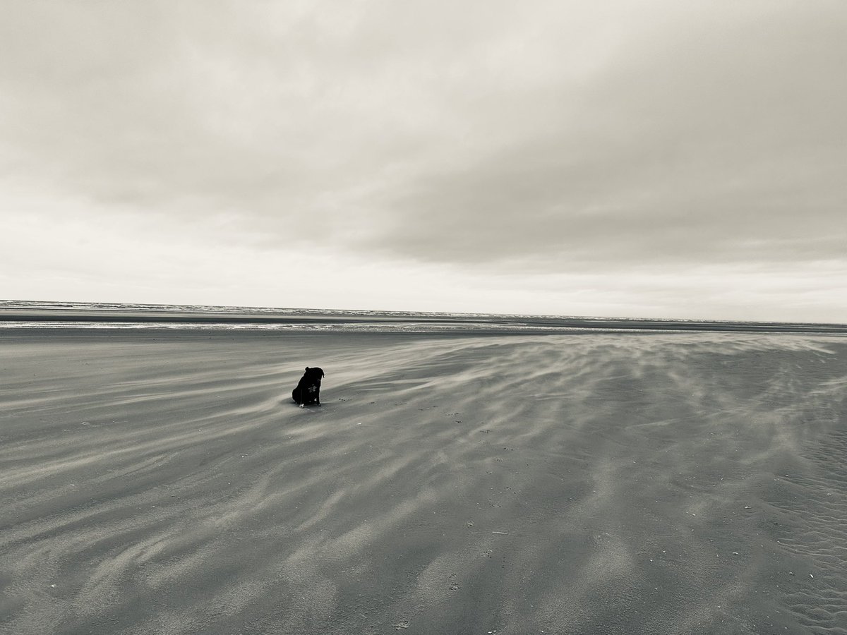 Lucy Bray tweet media