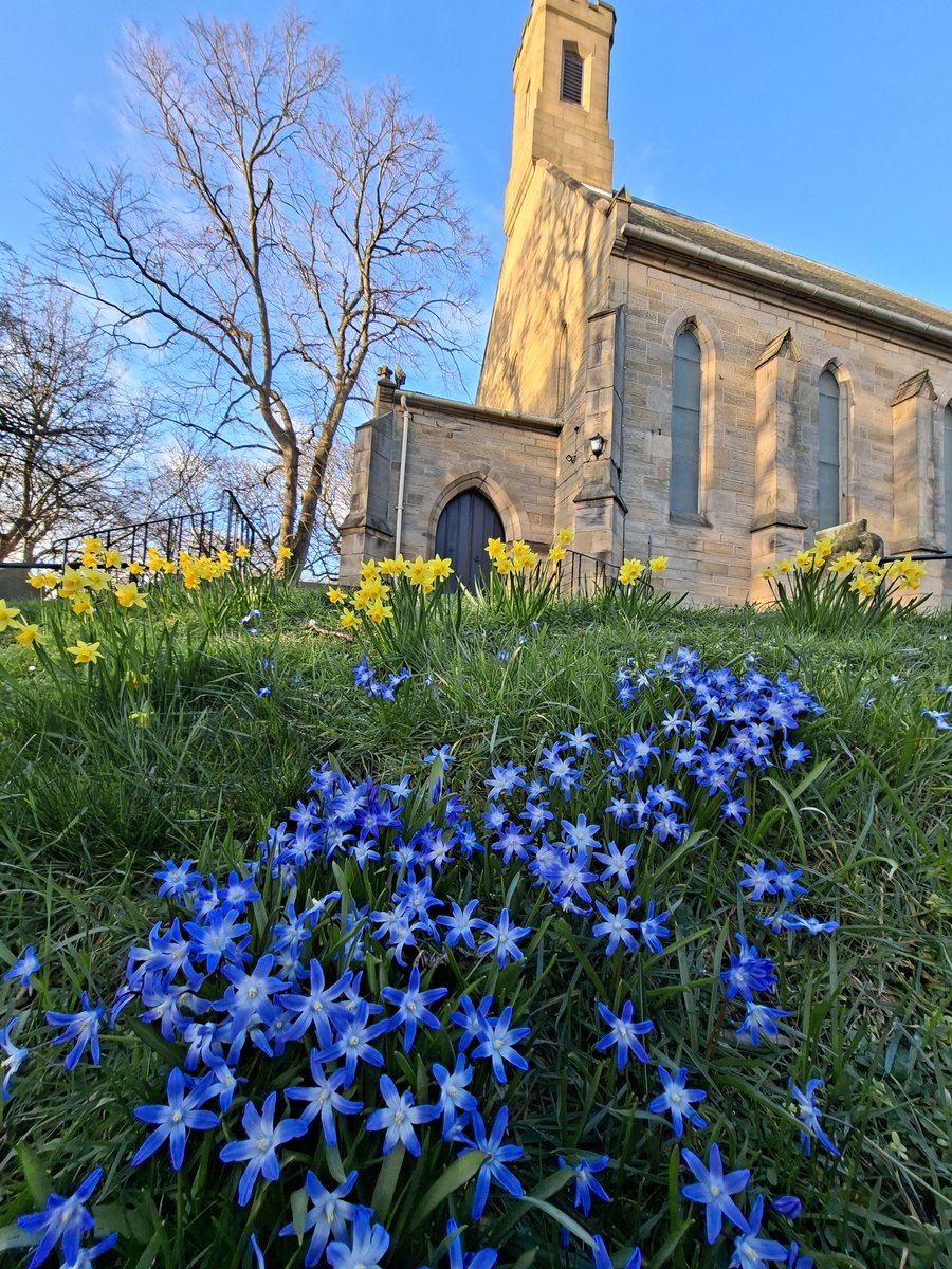 🌼🍋Helencello🍋🌼 tweet media