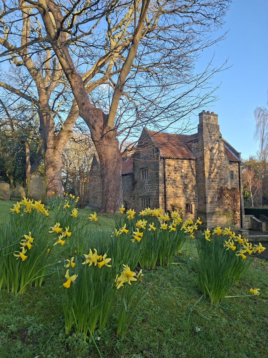 🌼🍋Helencello🍋🌼 tweet media