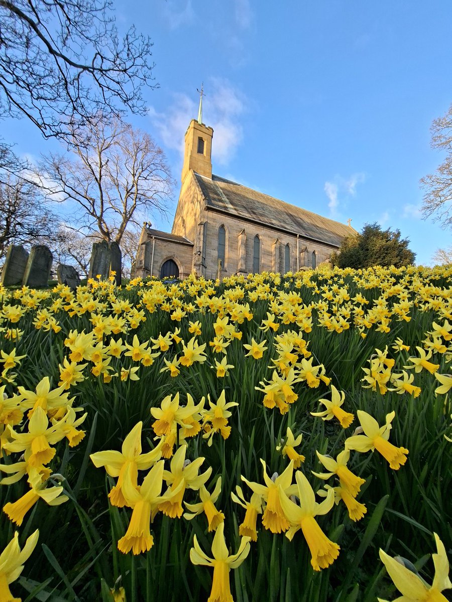 🌼🍋Helencello🍋🌼 tweet media