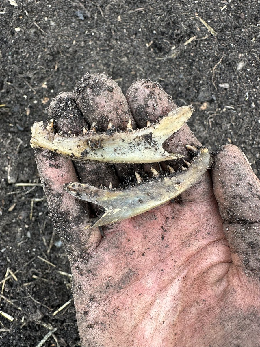 ❥ 𝑪𝒐𝒇𝒇𝒆𝒆 𝑳𝒐𝒗𝒆𝒓𝒔 𝒂𝒏𝒅 𝑭𝒂𝒏𝒔 ❥ tweet media