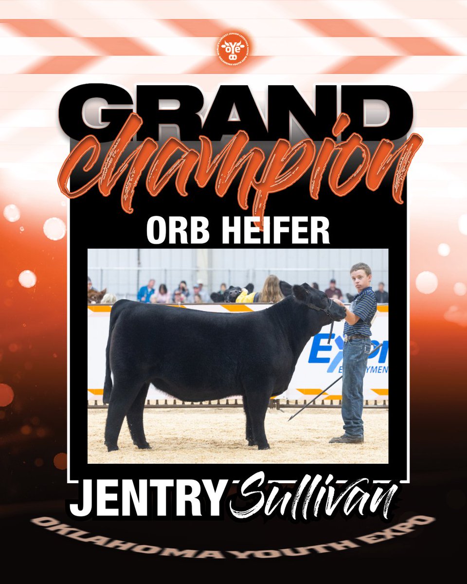 Your Grand Champion ORB Heifer goes to Jentry Sullivan with his Gelbvieh!🏆