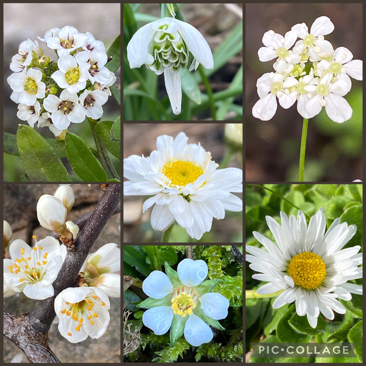 Michelle Clarke tweet media