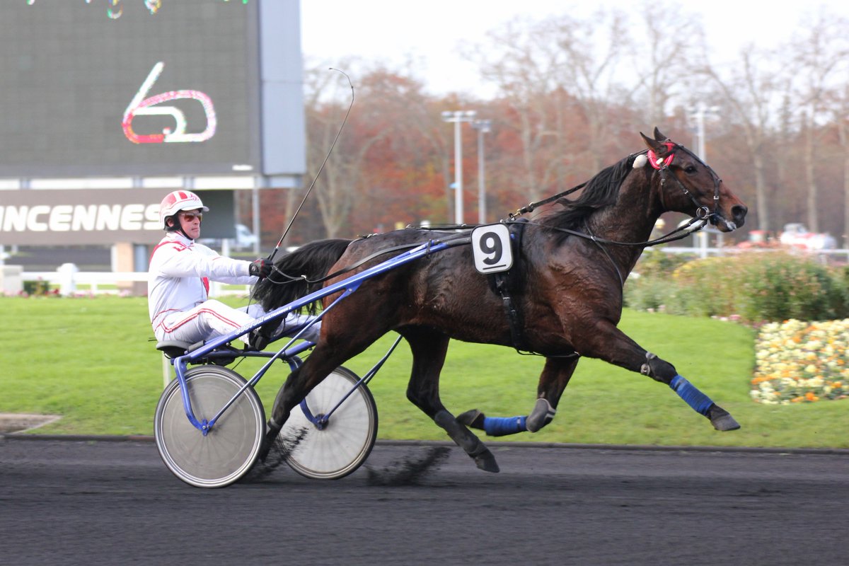 mondor44 tweet media