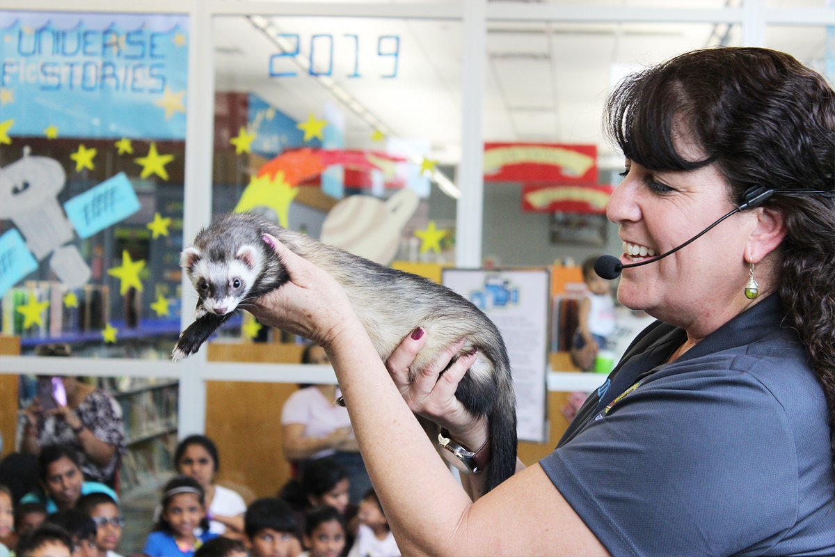 Irving Library tweet media