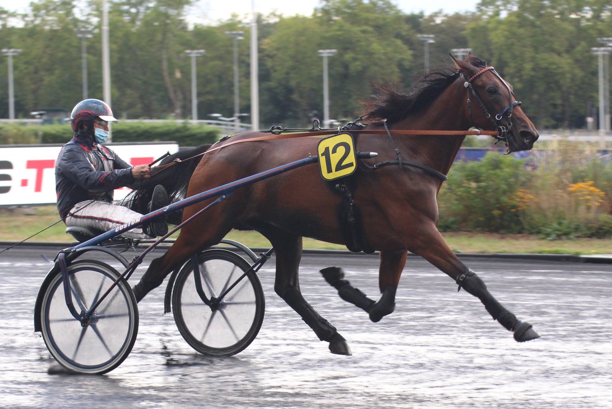 mondor44 tweet media