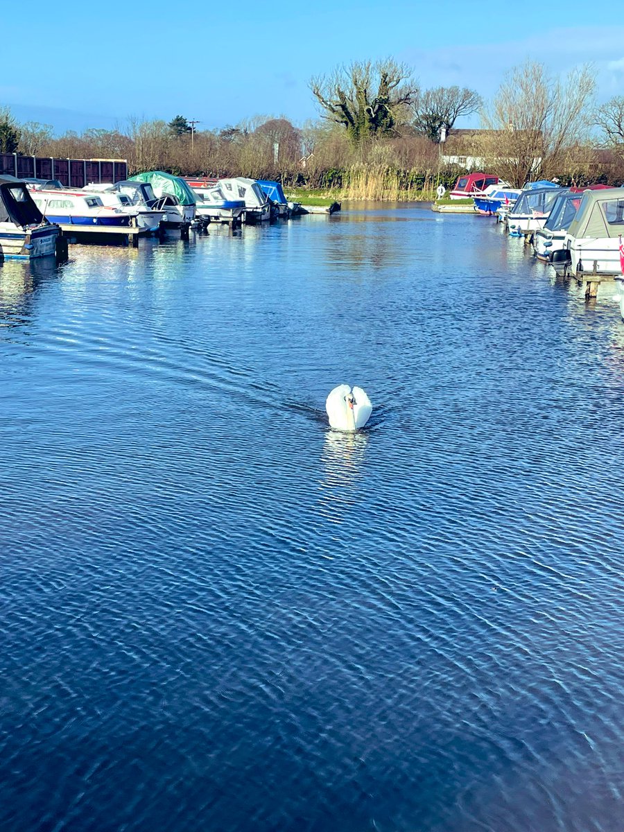 Tony Warne tweet media