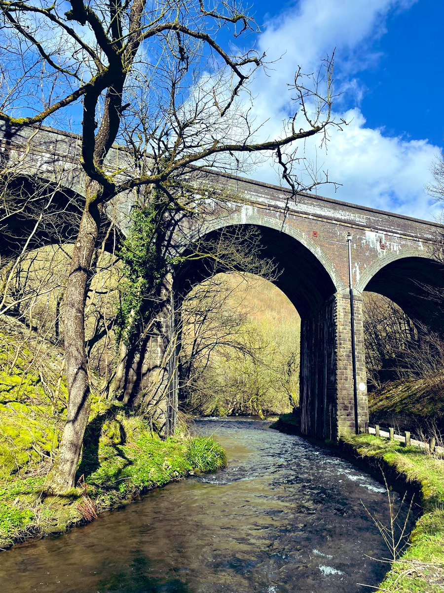 Tony Warne tweet media