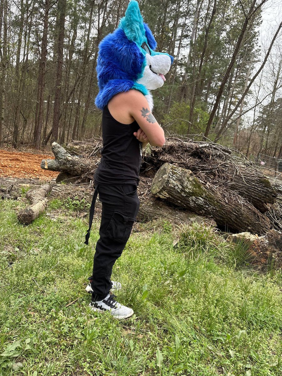 🩷🐺PuppyGf🐺🩷(They/Them) tweet media