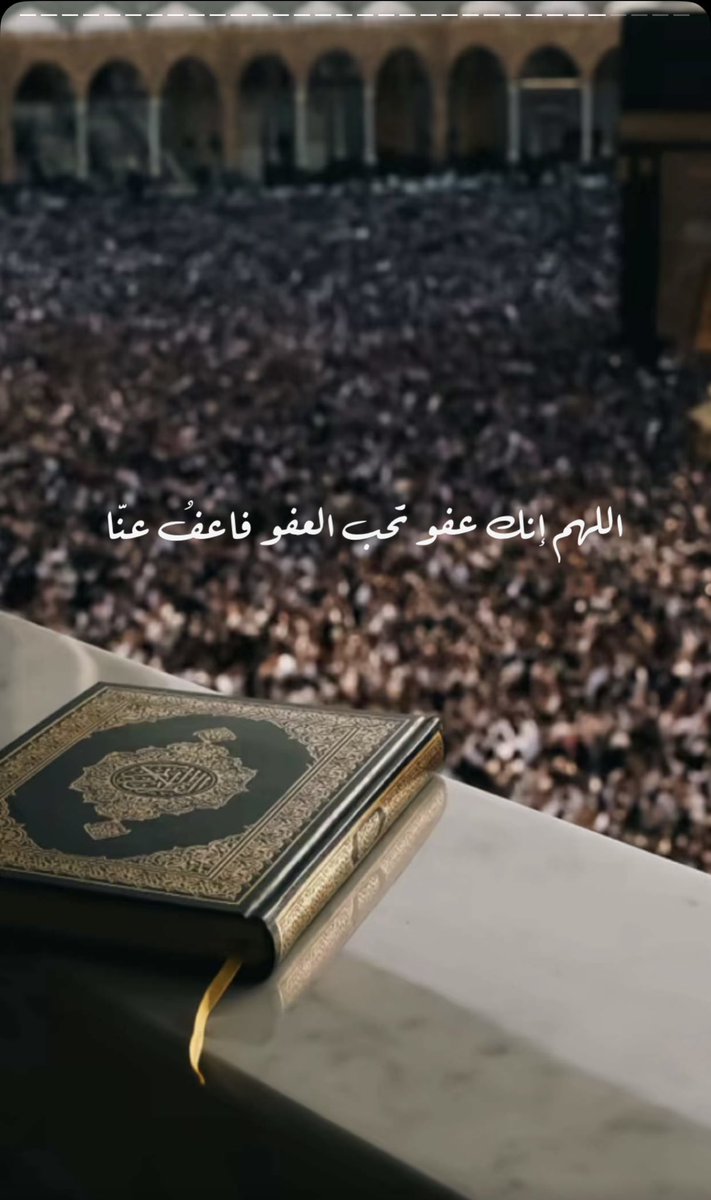 ﮼لهفة،سراب tweet media