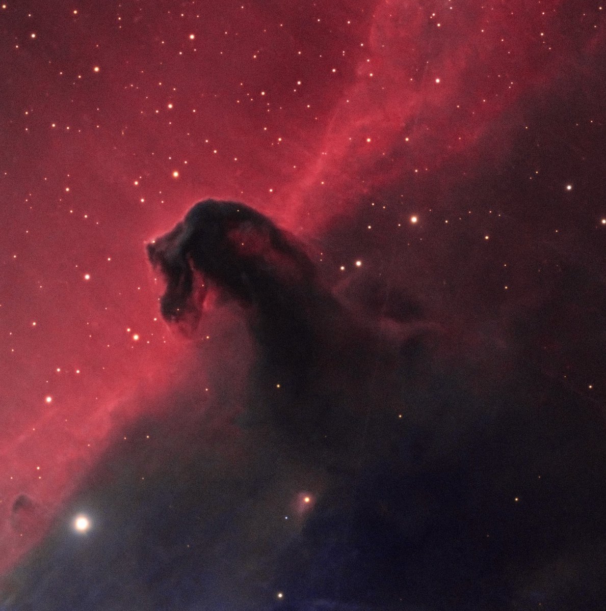 تصويري لسديم رأس الحصان 🎠
مدة التصوير ساعة وحدة