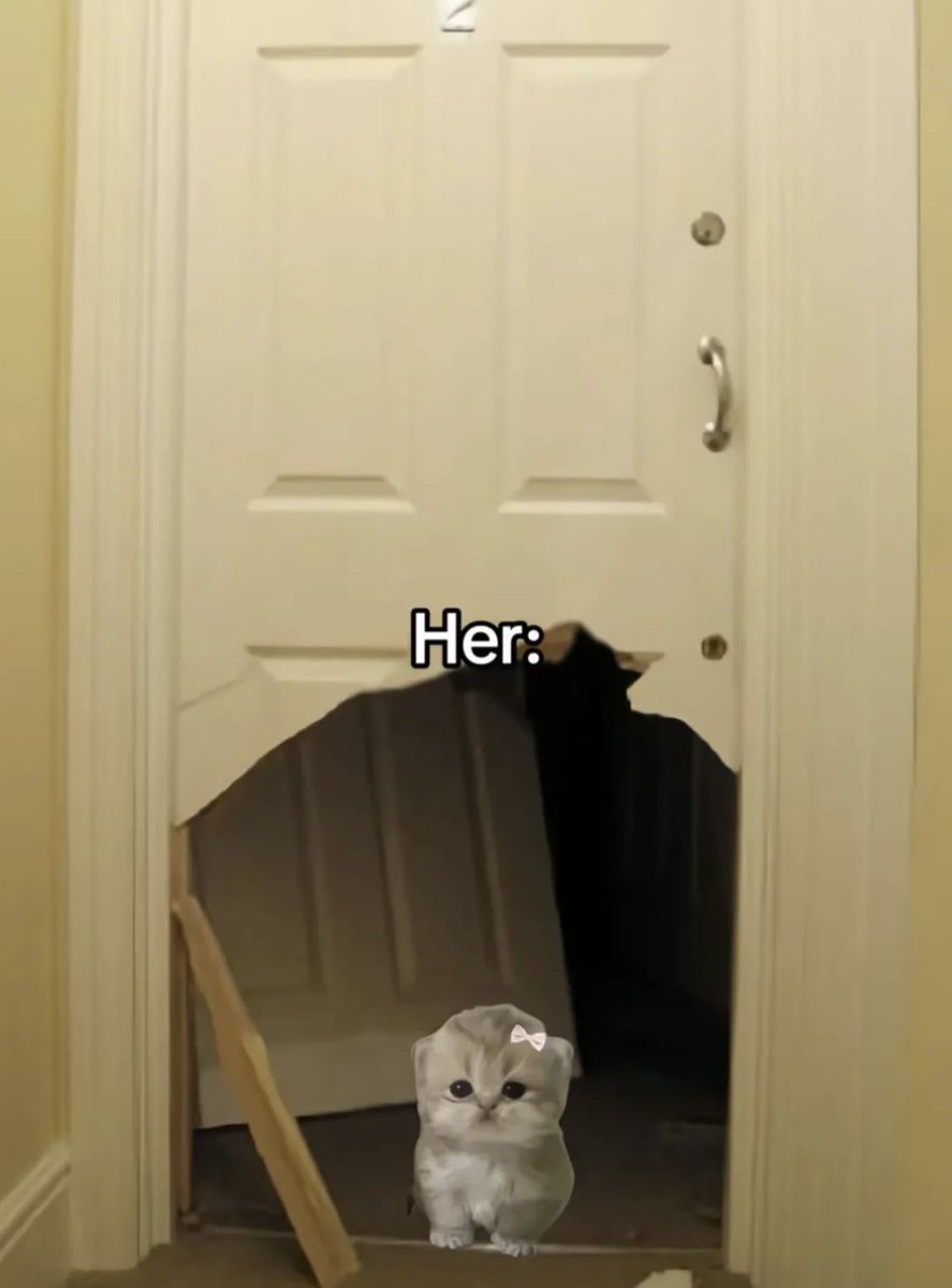 vintagelover tweet media