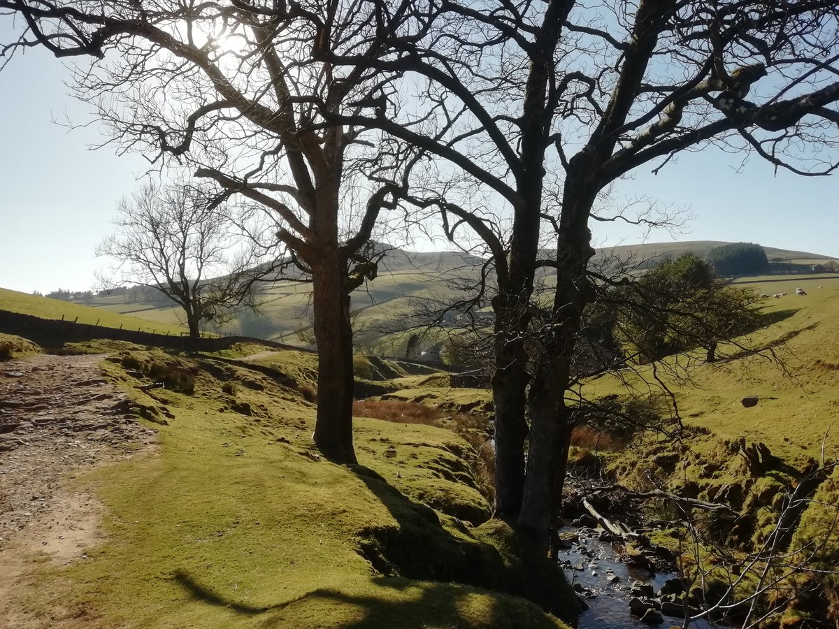 walkfoto's tweet photo. “I am learning nothing in this trivial world of men. I must break away and get out into the mountains to learn the news” - John Muir. https://t.co/OGJ4GBoEA6