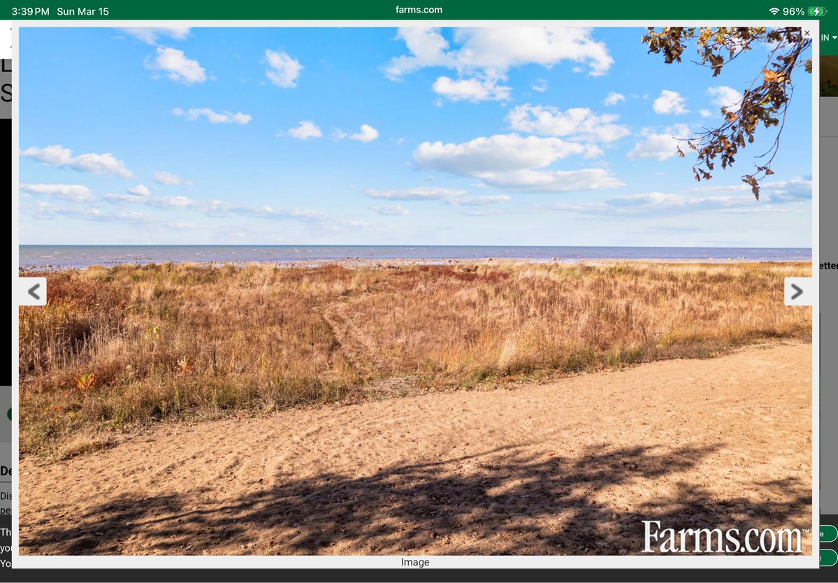 jim saul 🇨🇦🌽🐓 tweet media