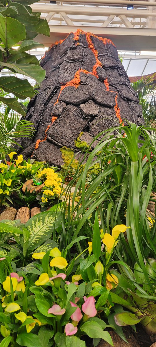 Lisa Moffa 👑🌕🦀🌎💄🇺🇸 tweet media