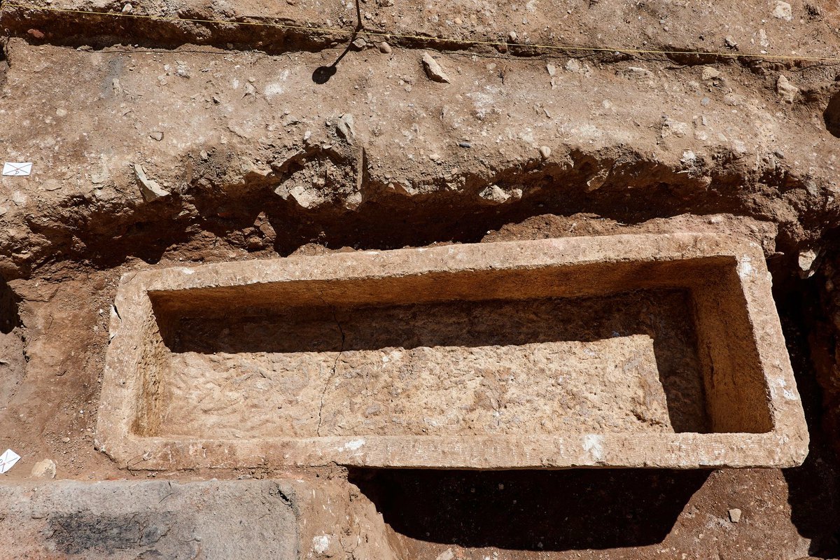 JM Virgili i Ortiga tweet media