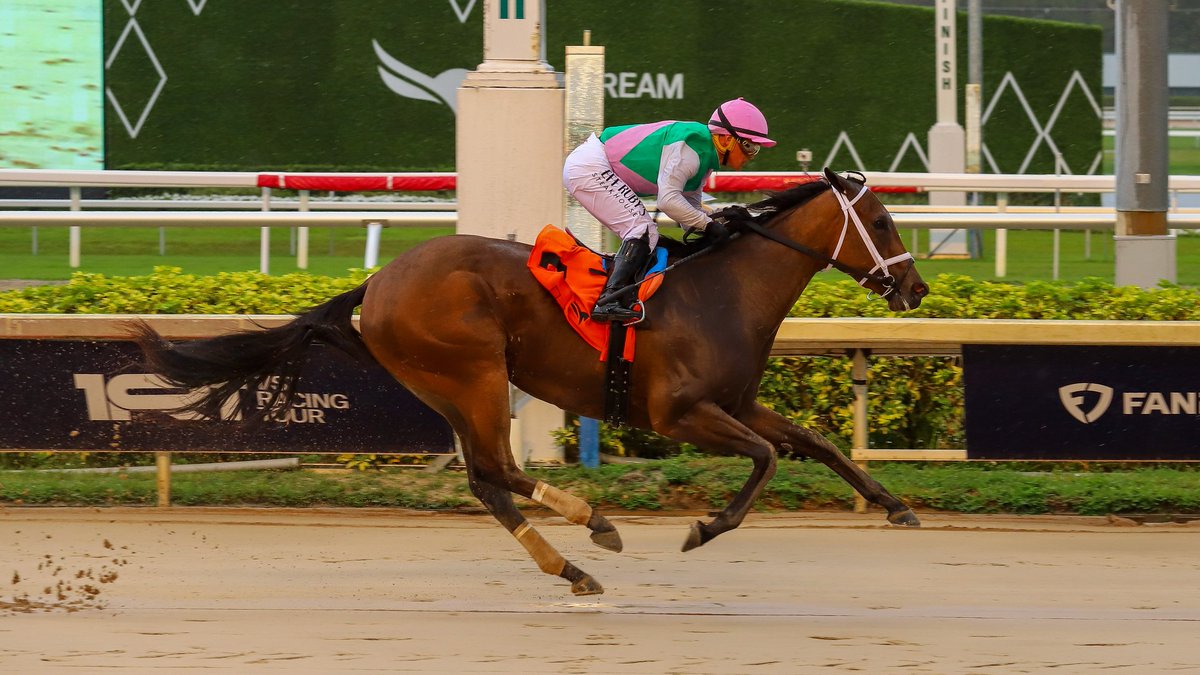 Gulfstream Park tweet media