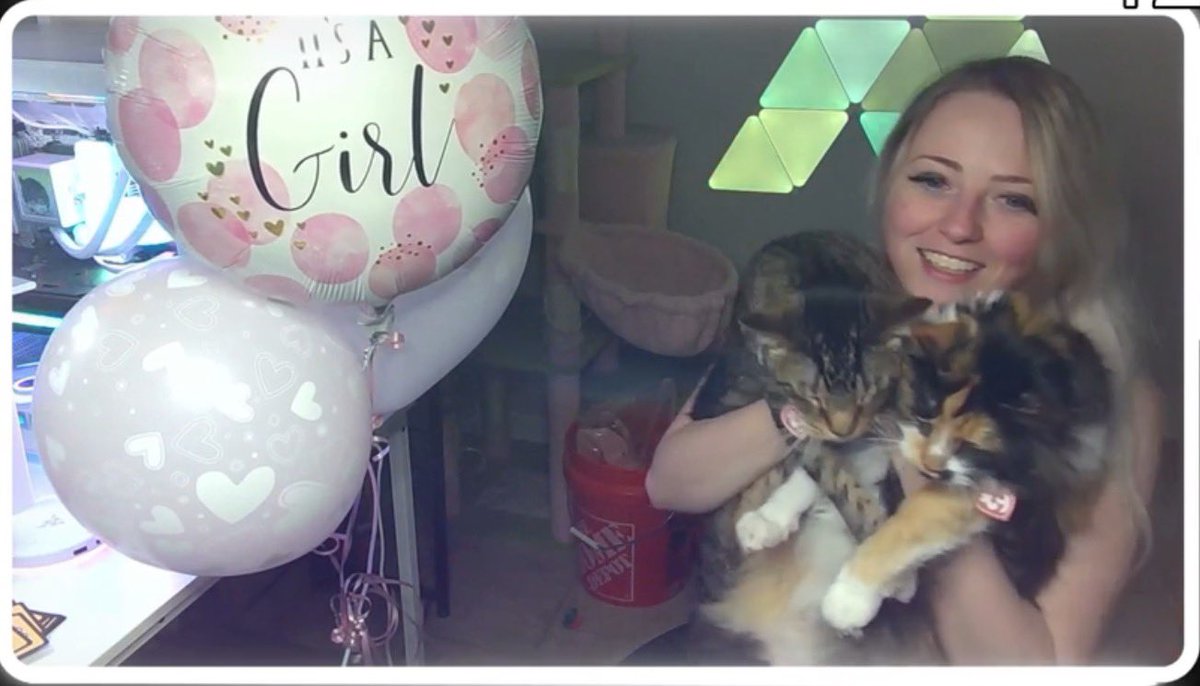 💜 PARTNER PUSH MOTH tweet media