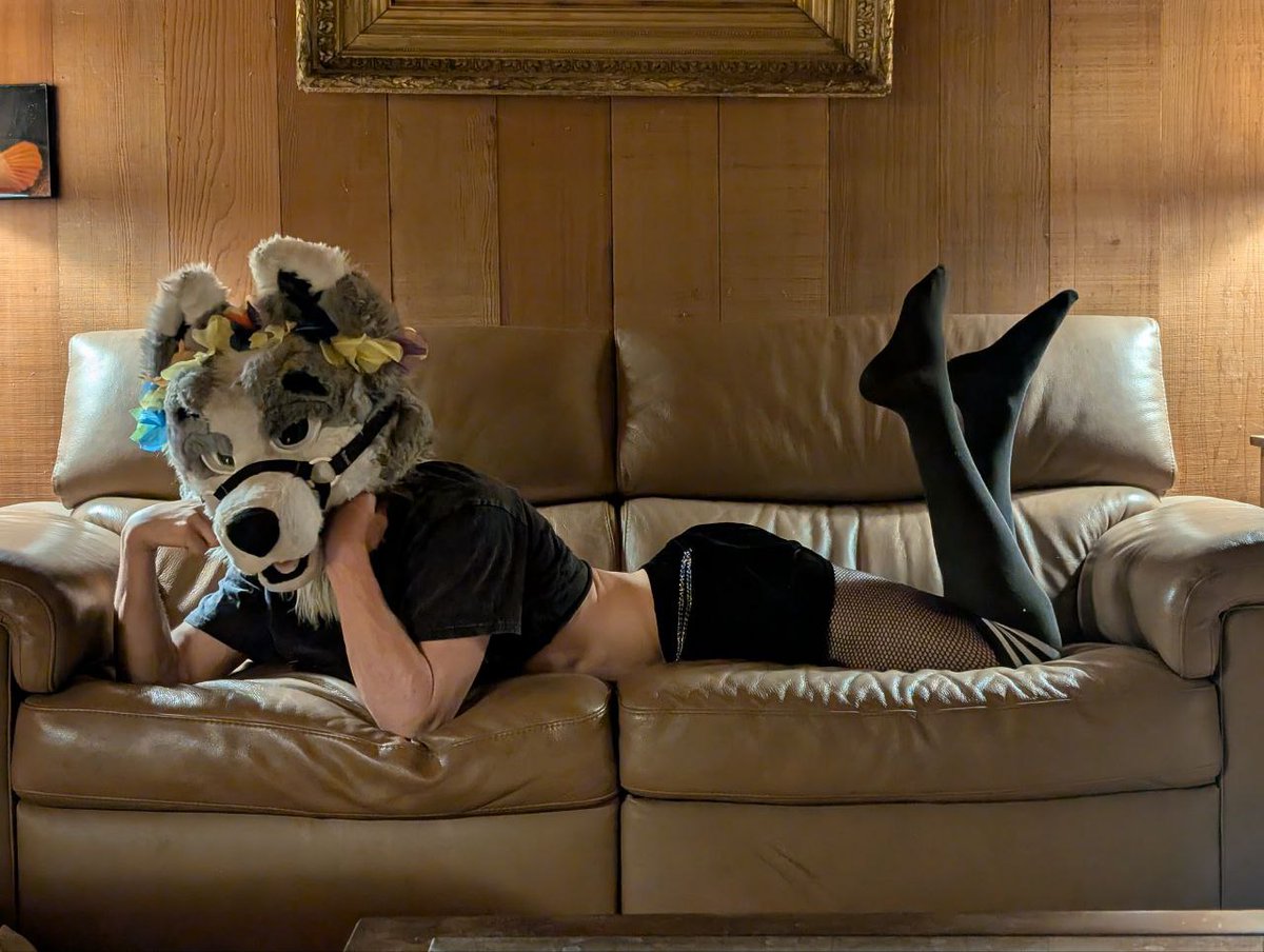 ⟨⟨⟨ 𝙈𝙊𝙊𝙉 𝙏𝙃𝙀 𝙁𝙊𝙇𝙁 ⟩⟩⟩ tweet media