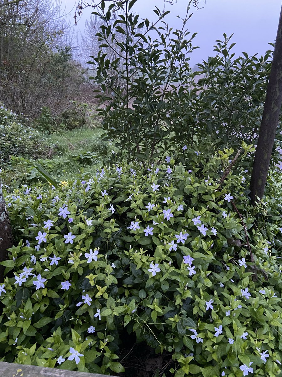 Julie RN 💙💜💛🎗 tweet media