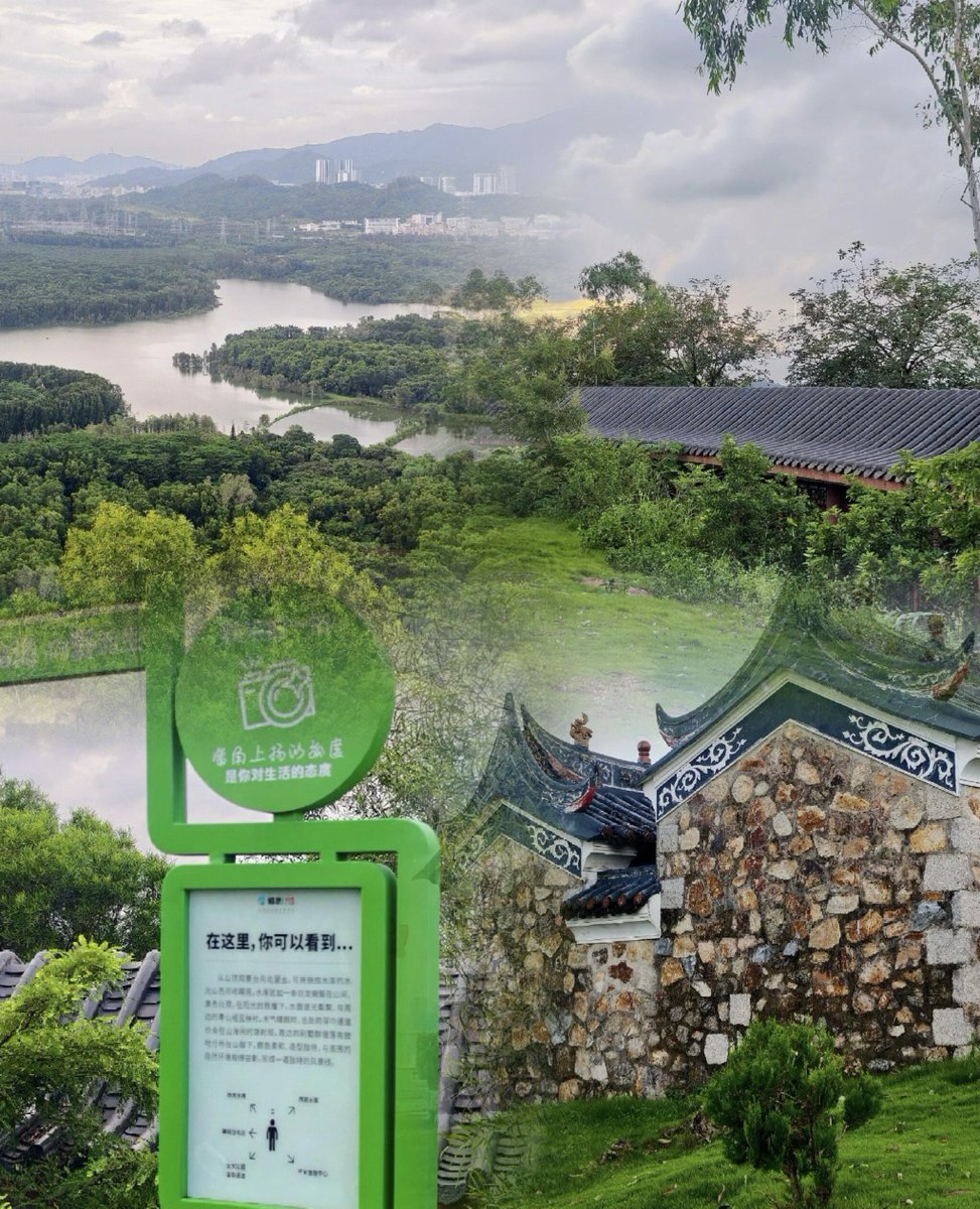 Huster Willi tweet media