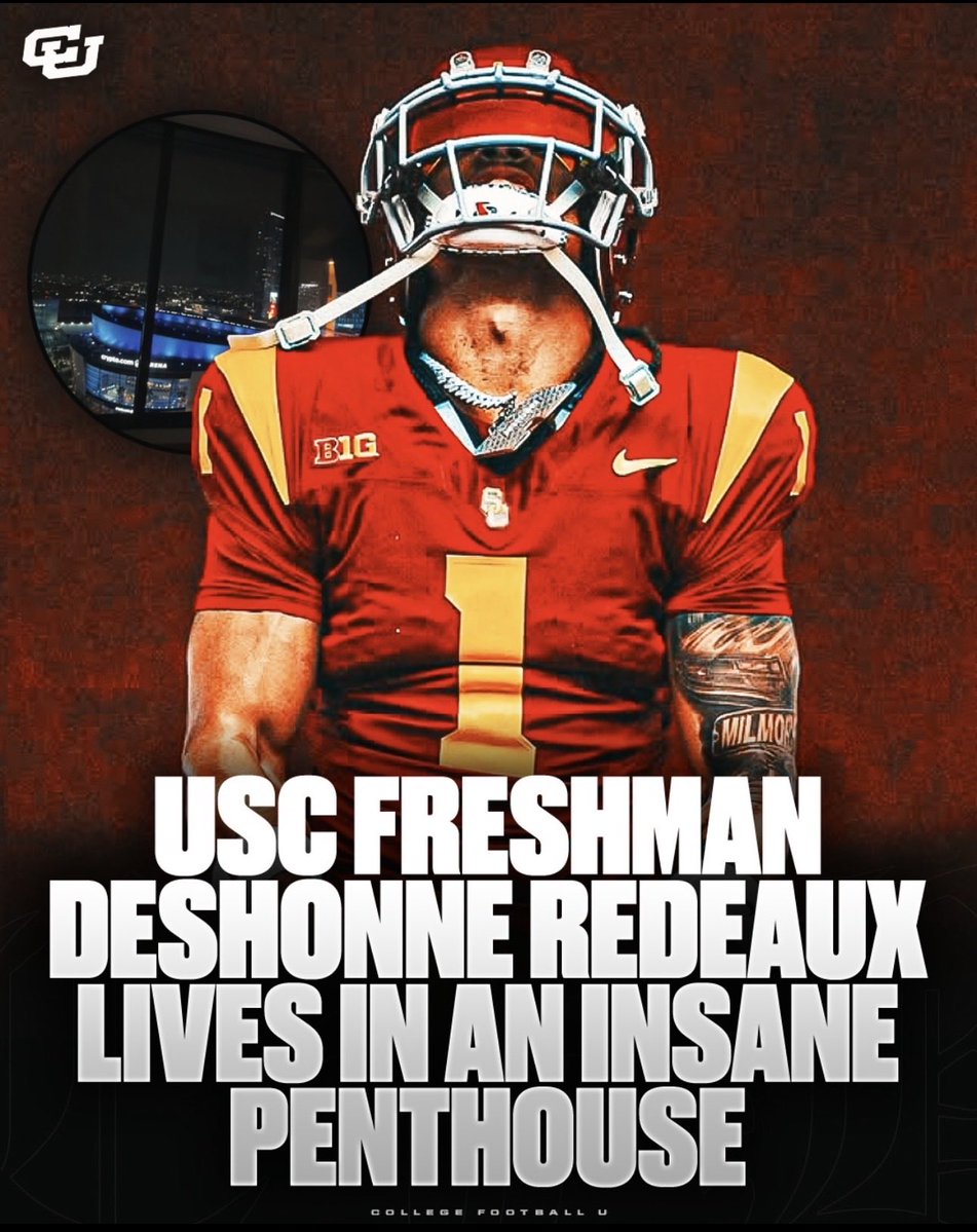 Zoo_Loose 🦁🦍🐻🐃🐺🦅 tweet media