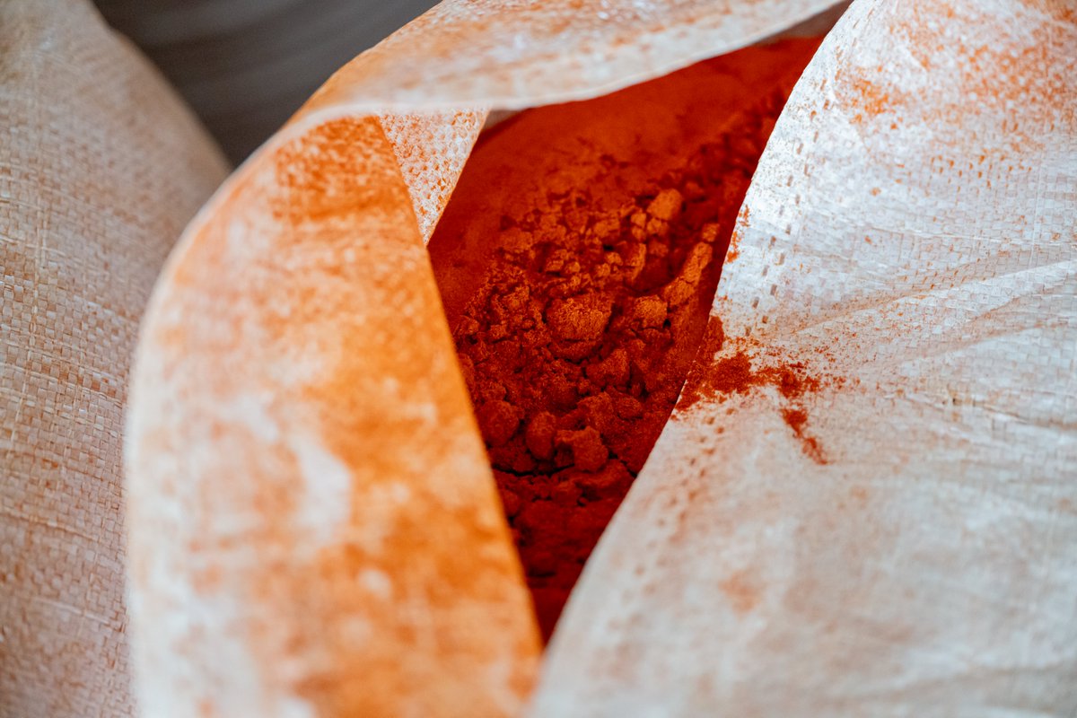 indexhu's tweet image. A kalocsai fűszerpaprika-őrlemény szülővárosába látogattunk, hogy egy eltűnőfélben lévő gasztronómiai kincs nyomába eredjünk.

További képek:
galeria.index.hu/kult/2026/03/1…

Fotó: Szollár Zsófi / Index

#Hungary #gastronomy #pepper #indexhu
